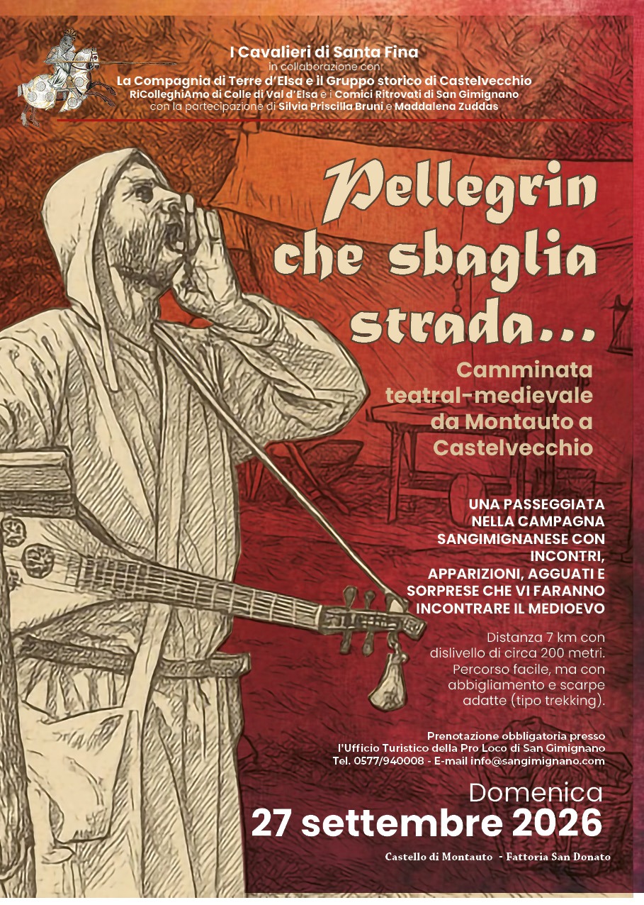PELLEGRIN CHE SBAGLIA STRADA ...